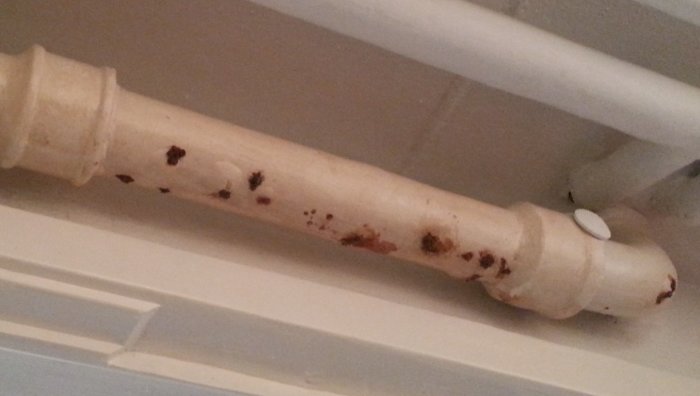 2012-10-31 13.07.15.cropped (Medium).jpg