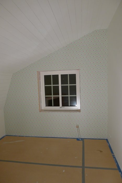 P1050502t.jpg