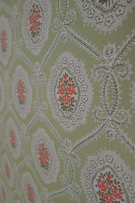 P1050503t.jpg