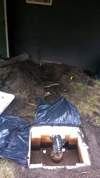 IMAG0783.jpg
