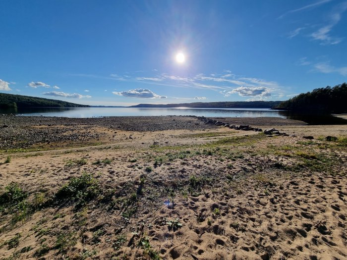 Solig utsikt över en strand med lågt vattenstånd i en sjö omgiven av skog och blå himmel.