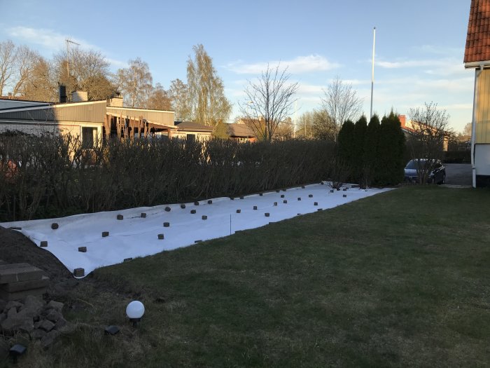 Trädgård med nyinstallerad vit markduk och pallkragar på beredda underlag inför begravning med gårdssingel.