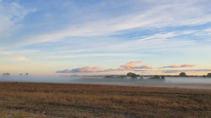 Morgonlandskap med dimma över fält och färggrann himmel vid soluppgång.