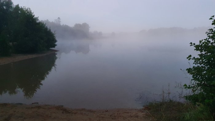 Dimmig morgon vid en stilla sjö med speglande vatten och träd vid strandkanten.