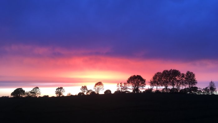 Färgglad himmel vid solnedgång med silhuetter av träd mot en ljus horisont.