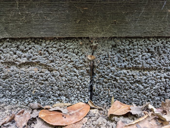 Spricka mellan en grå betonggrund och en brun träbjälke med några löv på marken.