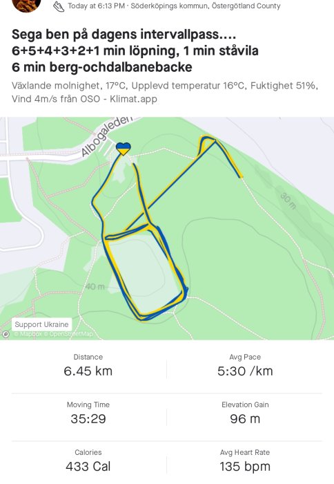 Skärmklipp av löpningsapp med karta över ett intervallpass på 6.45 km i bergig terräng, statistik visas.