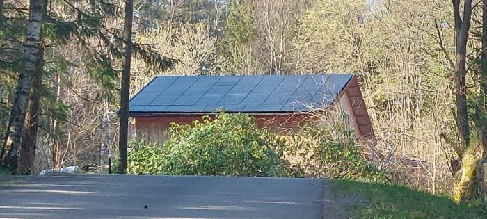 Solpaneler monterade på taket av ett skjul omgivet av träd och vegetation i dagsljus.