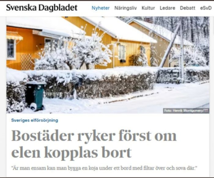 Ett gult hus med snötäckta träd och en häck i förgrunden under vintern.