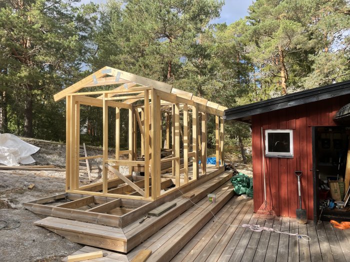 Nybyggda trästommar och takstolar mot skogsbakgrund bredvid röd stuga.