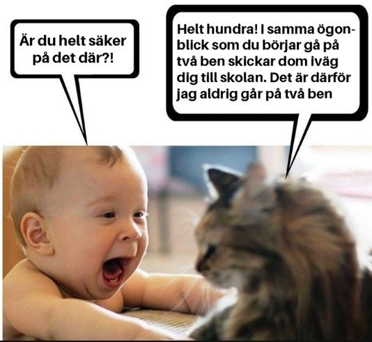 Skämtsam bild av ett skrattande spädbarn som "pratar" med en katt, båda med pratbubblor.