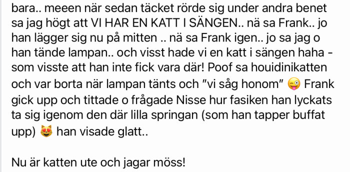 Skärmdump av textinlägg om en katt som gömmer sig i sängen och överraskar ägaren.