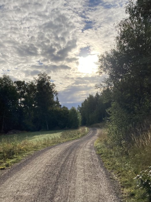 Grusväg genom ett lantligt landskap med träd och dramatisk molnhimmel.