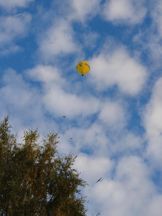 Gul luftballong med text flyger högt i blå himmel med vita moln och trädtoppar i förgrunden.