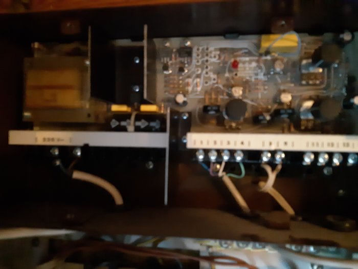 Otydlig bild av en elektronikenhet med tunna kablar, kretskort och terminaler.