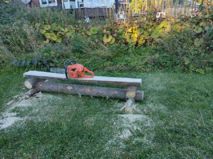 Motorsåg på en träplanka intill avkapade trädstammar på gräsmark framför buskar.