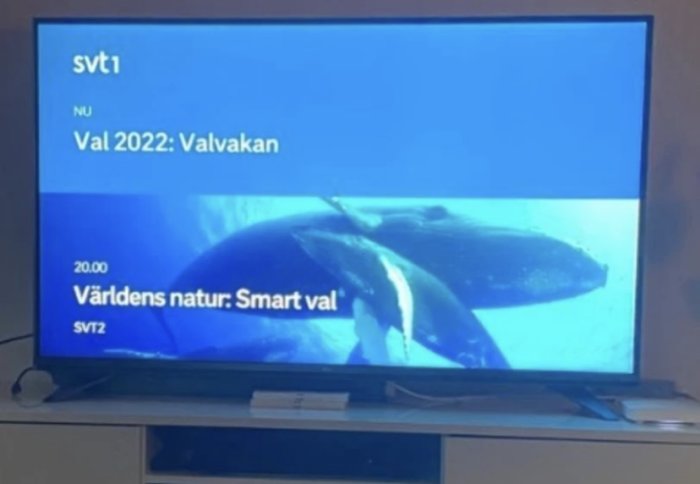 TV-skärm som visar en val på SVT1 med programtexten "Val 2022: Valvakan" och "Världens natur: Smart val" på SVT2.