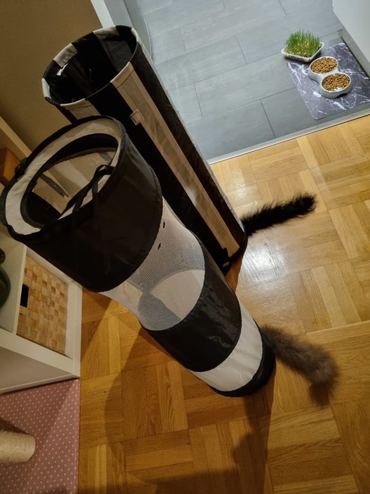 Svartvit kattunnel på golvet med en katts svans som sticker ut.