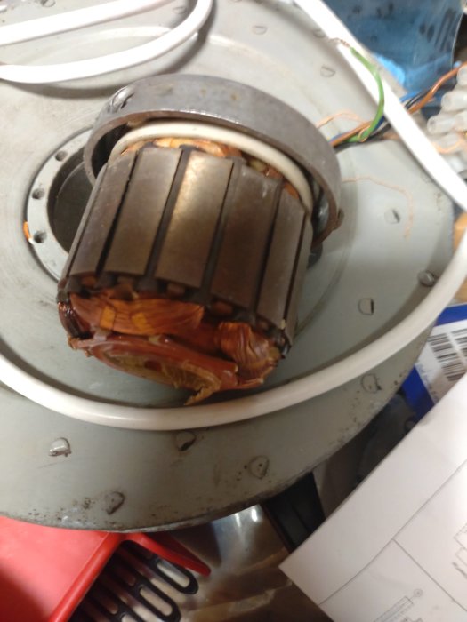 Elektromotor utan lager visande statorns kopparlindningar och rotorns lameller.