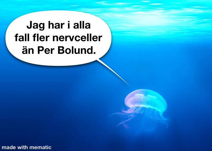 Manet med pratbubbla som säger "Jag har i alla fall fler nervceller än Per Bolund".