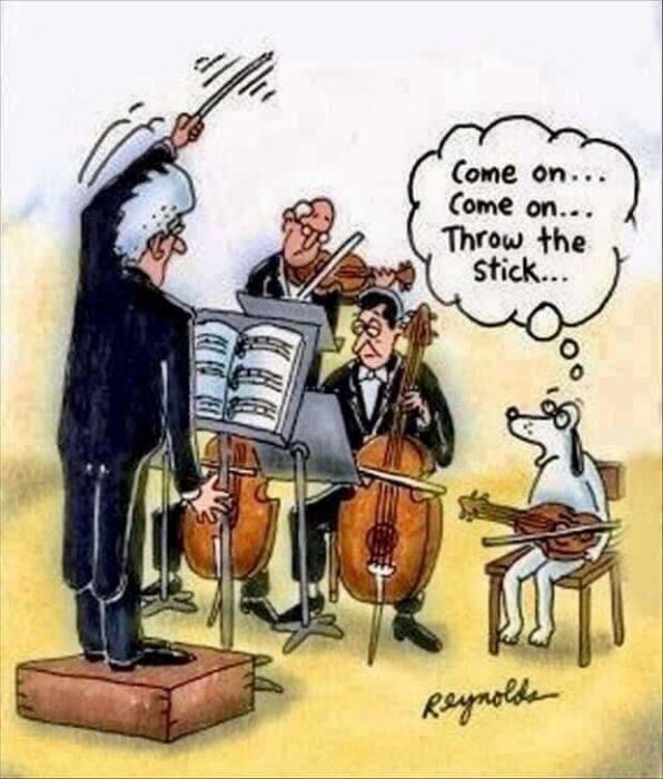 Tecknad bild av en orkesterdirigent, musiker och en hund med en cello som tänker "Kasta pinnen...".