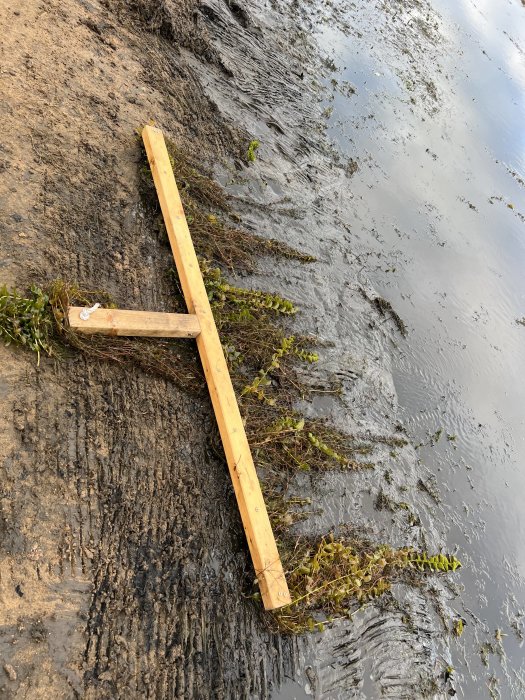 Handgjord räfsa av trä på en strand med lågvatten och trådväxter.
