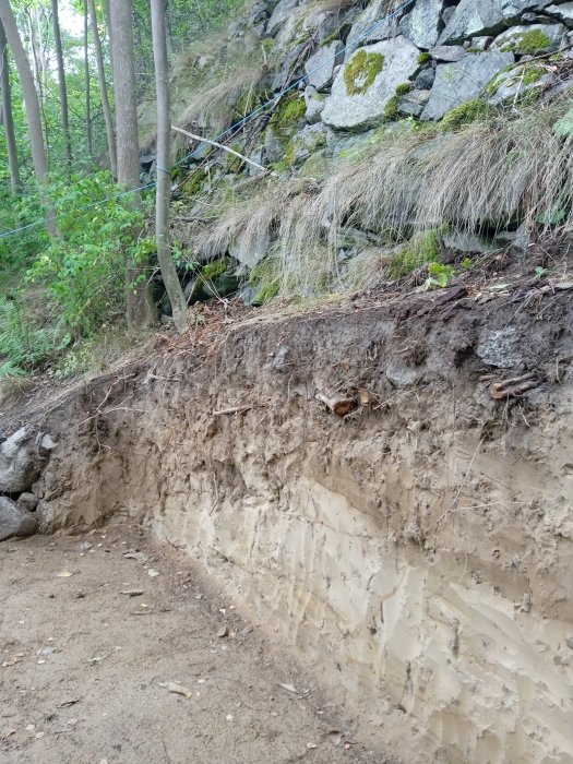 Erosionskant med synliga jordlager och träd vid en klippa.