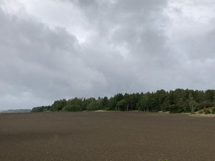 Mörka moln över en plöjd åker med en skogslinje i bakgrunden.