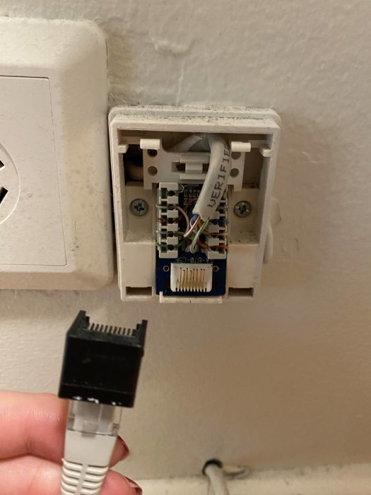 Öppen nätverksuttag med exponerade kablar och en hand som håller ett Ethernet-kontakt.