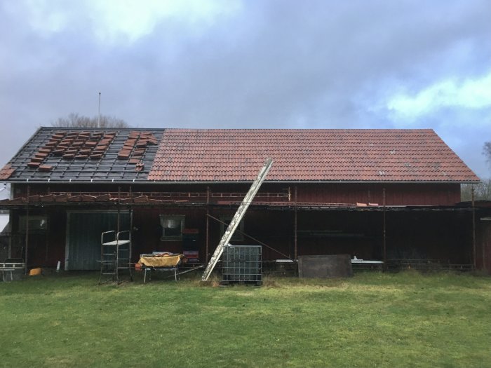 Ladugård med nytt lertegeltak under installation, visar skeva takrader och en stege mot taket.