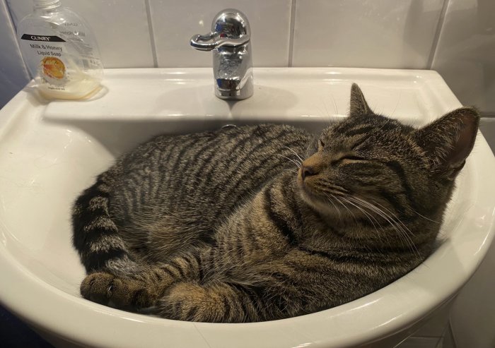 En avkopplad randig katt som ligger och sover i ett vitt handfat bredvid en tvålpump och en vattenkran.