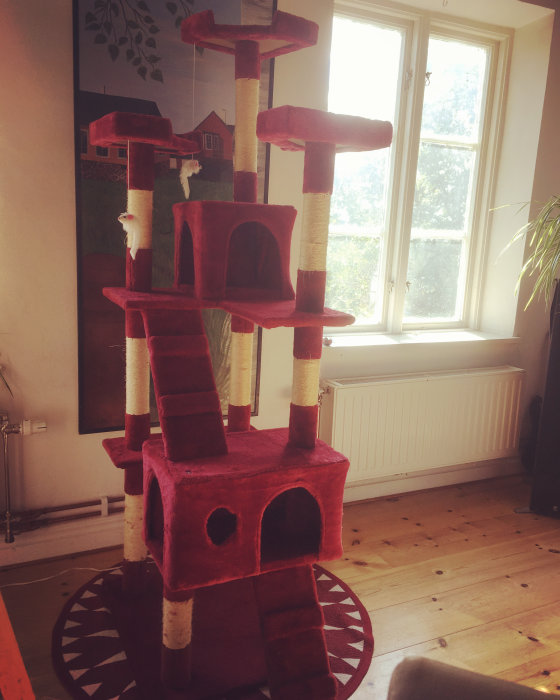 Röd flerplans kattklätterställning med flera plattformar och hyllor står i ett rum med trägolv.