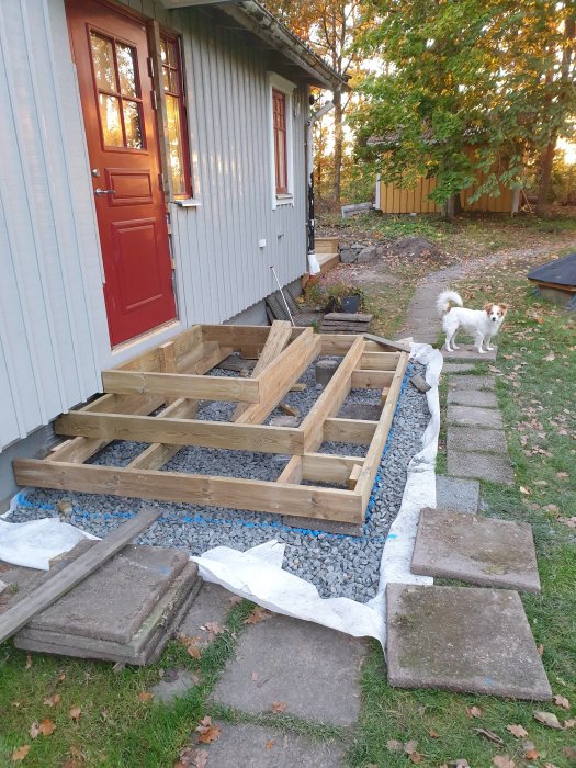 Påbörjat bygge av veranda i trä intill ett hus, oavslutat arbete och en liten vitbrun hund står bredvid.