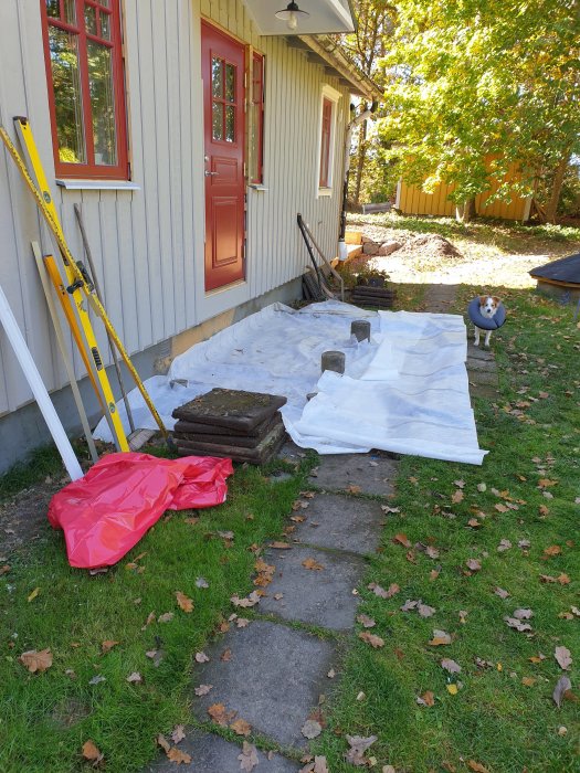 Byggprojekt utanför hus med täckt mark, stege, och en hund på gården.