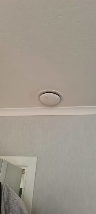 Ventilationsgaller med skruvlock på en takyta, möjlig koppling till skorsten.