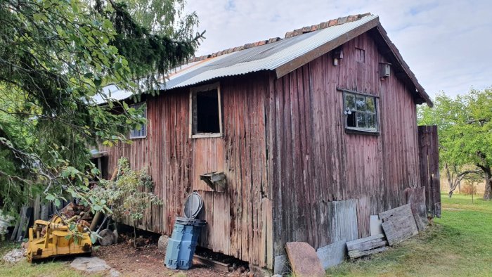 Slitet rött träskjul med flagnande färg och nytt plåttak omgivet av grönska och diverse föremål på marken.