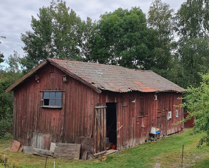 Röd sliten lada med öppen dörr och rostigt tak omgiven av grönska.