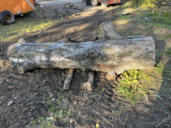 Stort trädstamsegment på marken, ca 50-60 cm i diameter och 285 cm långt, erbjuds gratis mot avhämtning.