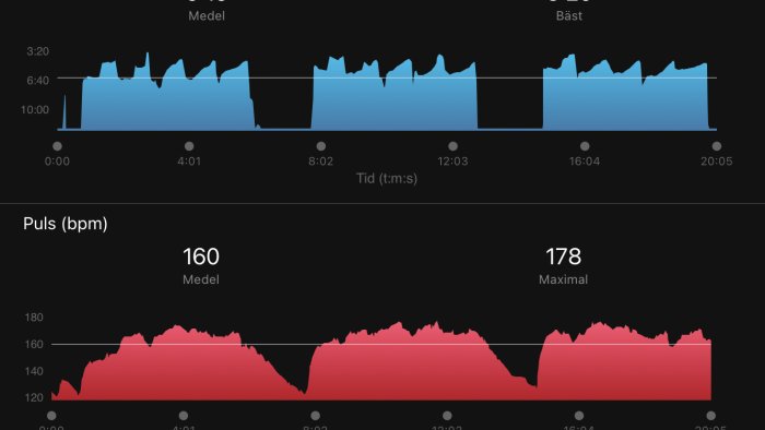 Graf som visar pulsdata över tid med två linjer som representerar medel- och maximal puls.