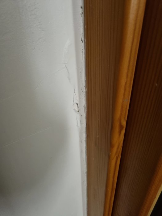 20220922_201421.jpg