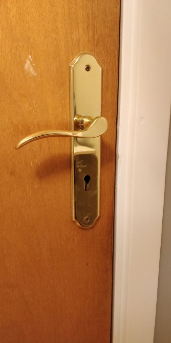 Guldhandtag med långskylt på en brun träddörr, nära en vit dörrkarm.