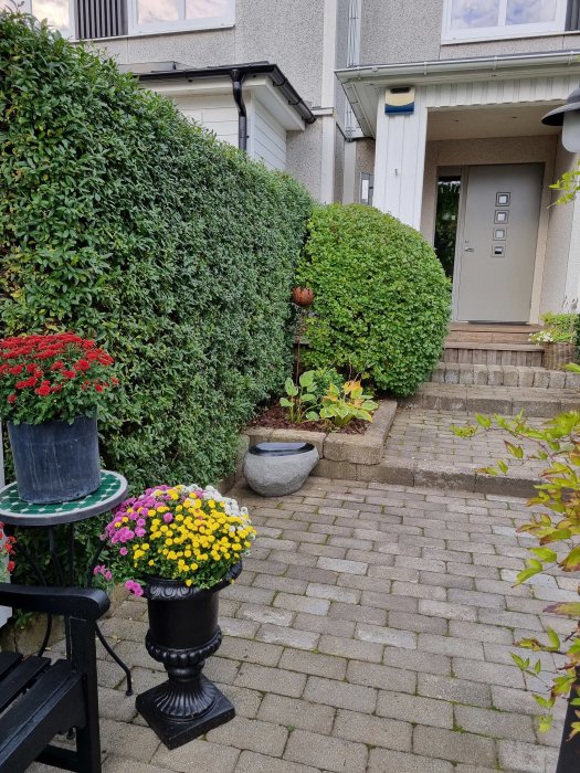 Naturligt insynsskydd med tät häck och blomsterarrangemang utanför ett radhus.