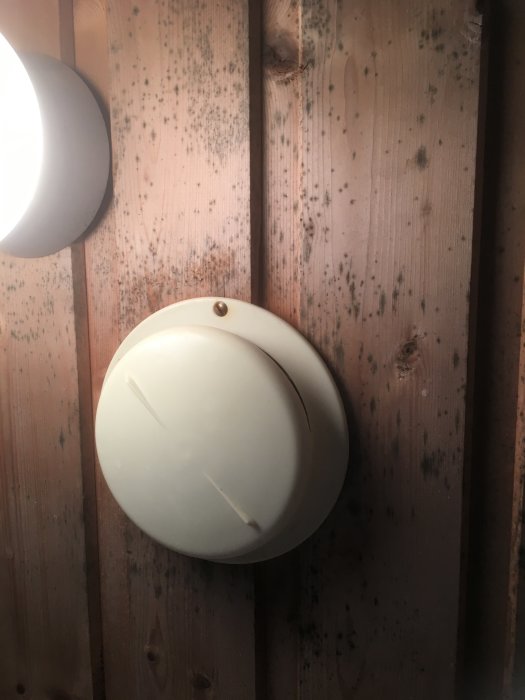 En gammal vit termostat på trävägg med synlig mögeltillväxt och en lampa till vänster.