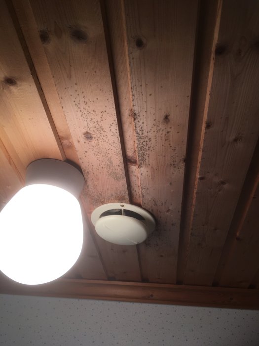 Trätak med mögelskador och en lampa samt en rökdetektor.