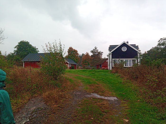 Vy över en landsbygdsgård med ett blått hus och röd lada sett från en stig, omgiven av grönska och en gråmulen himmel.