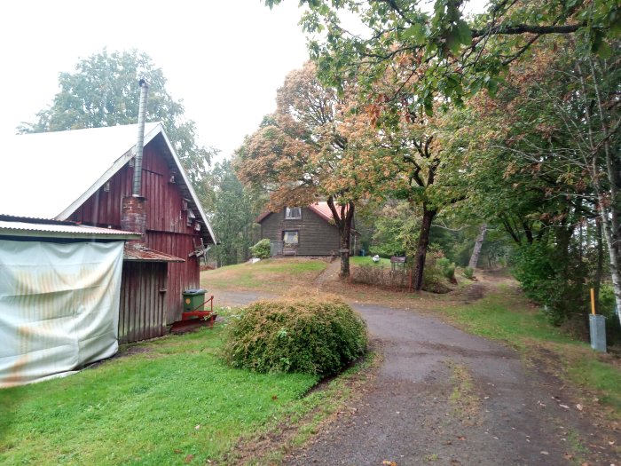 En lantlig scen med ett rött trähus och en lada, en oasfalterad väg leder förbi och skog syns i bakgrunden.