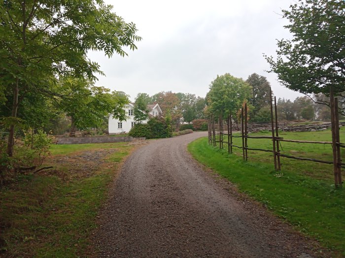 Lantlig grusväg med staket som leder mot ett vitt hus omgivet av gröna träd och grått molnigt himmel.