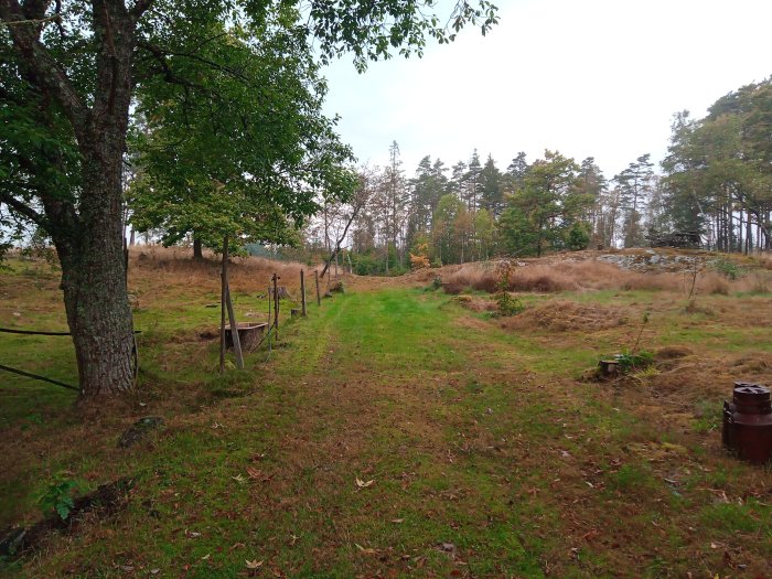 Gräsbevuxen stig genom ett öppet landskap med stängsel och träd, inga byggnader eller djur synliga.
