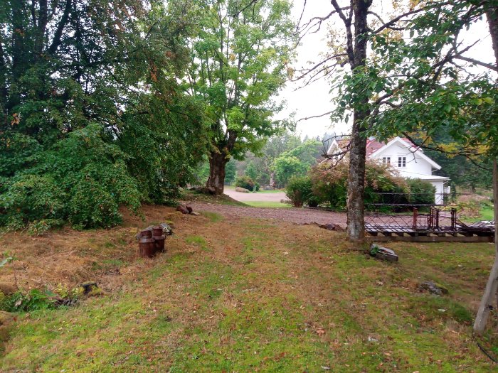 Grönskande trädgård med gräsmatta framför vitt hus med veranda, omgivet av träd och buskar.