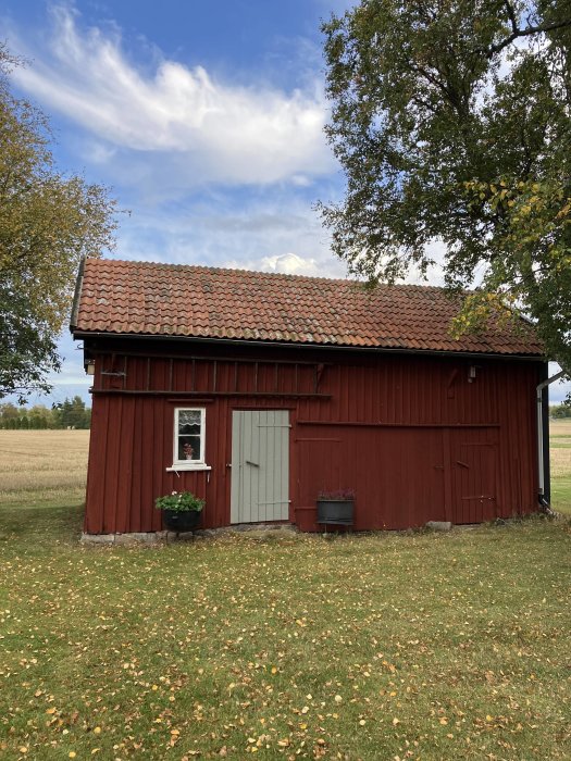 Traditionellt rött svenskt trähus med tegeltak omgiven av lövträd och gräs med löv.